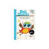 Owl Diaries #2: Eva Sees a Ghost (a Branches Book) - Library Edition