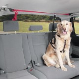 Centura siguranta animale de companie Pets Travel , prindere maner sustinere interior