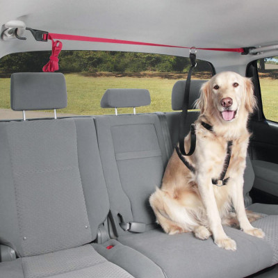 Centura siguranta animale de companie Pets Travel , prindere maner sustinere interior AutoDrive ProParts foto