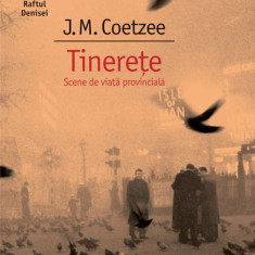 Tinerete. Scene de viata provinciala J.M. Coetzee