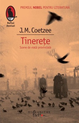 Tinerete. Scene de viata provinciala J.M. Coetzee foto