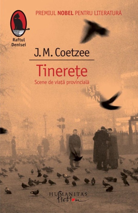 Tinerete. Scene de viata provinciala J.M. Coetzee