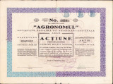 HST A2274 Acțiune Agronomul Societate Anonimă de Asigurări Generale, Arad, 1935