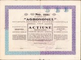 HST A2274 Acțiune Agronomul Societate Anonimă de Asigurări Generale, Arad, 1935