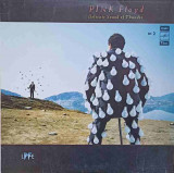 Disc vinil, LP. DELICATE SOUND OF THUNDER NO.2. VINIL-PINK FLOYD, Rock