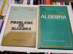 Algebra si Probleme de algebra - Ion D. Ion, R. Nicolae foto