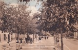 Campulung. Vederea Bulevardului (circulata 1912)