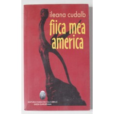 FIICA MEA AMERICA de ILEANA CUDALB , 2005
