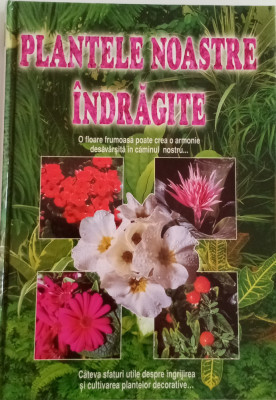 PLANTELE NOSTRE &amp;Icirc;NDRĂGITE - AQUILA 93 foto