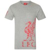 FC Liverpool tricou de bărbați Graphic grey - S