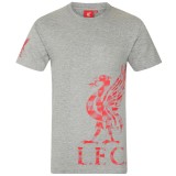 FC Liverpool tricou de bărbați Graphic grey - S