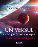 Universul intr-o picatura de apa - Traian Anghel, Corint