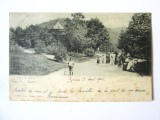 Rara! Sinaia-Vedere din parc,copil jucandu-se cu cercul,carte postala clasica circulata 1901, Printata