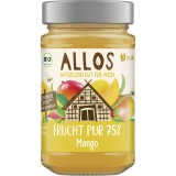 Dulceata de mango cu sirop de agave, eco