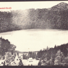 4514 - TUSNAD, Harghita Lacul Sf. Anna, Romania - old postcard - used - 1911