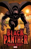 Black Panther: Who Is The Black Panther? | Reginald Hudlin, Marvel Comics