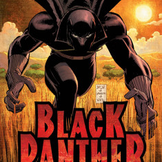 Black Panther: Who Is The Black Panther? | Reginald Hudlin