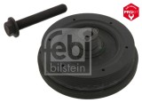 FEBI BILSTEIN 34826 Fulie curea, arbore cotit