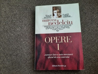 MIRCEA NEDELCIU Opere 1. Aventuri intr-o curte interioara. Efectul de ecou coNT foto