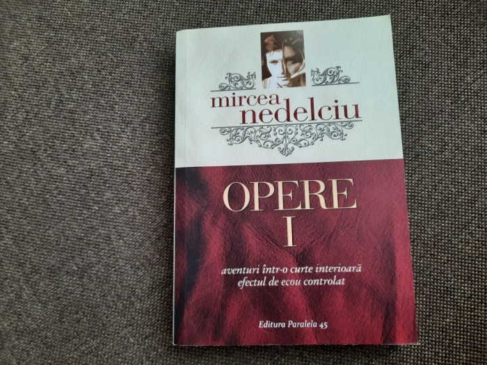 MIRCEA NEDELCIU Opere 1. Aventuri intr-o curte interioara. Efectul de ecou coNT