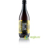 Kombucha cu Soc Ecologica/Bio 750ml