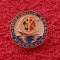 Insigna fotbal - MFC MYKOLAIV (Ucraina)