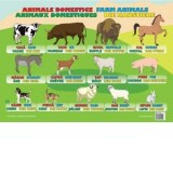 Plansa Animale domestice