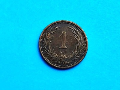 1 Filler 1895 Ungaria-RAR- foto