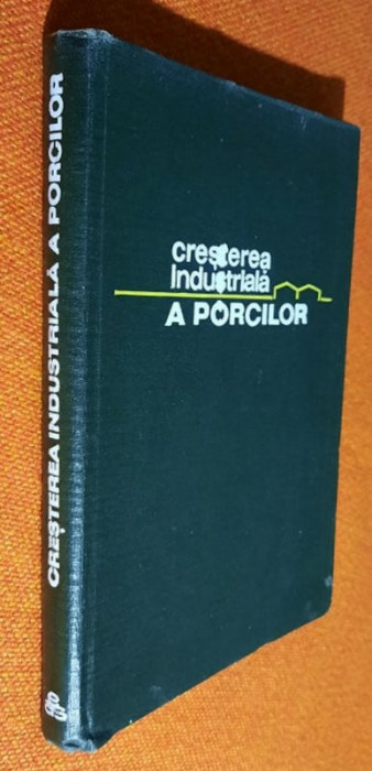 Cresterea industriala a porcilor - Cutuhan, Sintu, Cozmuta, Enache