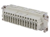 Conector HDC Mamă CDS PIN 42 42 PE 104.27 10A