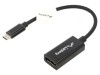 Cablu adaptor USB 3.1 DisplayPort USB C nichelat, Lanberg