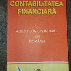 Contabilitatea financiara a agentilor economici din Romania 1995
