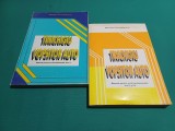 TINICHIGIU VOPSITOR AUTO *2 VOL*MANUAL ȘCOLI PROFESIONALE ANII I-II-III*1997* 33