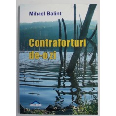 CONTRAFORTURI DE - O ZI de MIHAEL BALINT , 2009