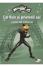 Cat Noir si prietenii sai. Carte de colorat