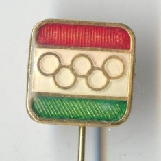 Insigna Olimpica Olimpiada - CERCURI OLIMPICE - echipa olimpica ITALIA