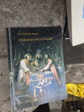 Teologia enclavelor - Pr. Prof. Ion Buga, 1995, Carti istoria bisericii