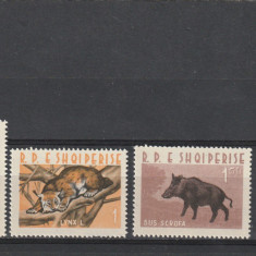 Albania 1962-Fauna,Animale,serie 4 valori dantelate,MNH,Mi.699-702