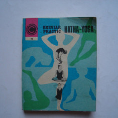 Breviar practic Hatha-Yoga - Ion Vulcanescu