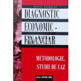 Diagnostic economic-financiar. metodologie. studii de caz - 2004 - Silvia Petrescu (H8)