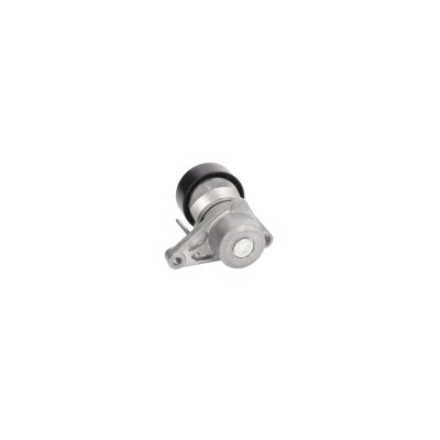 Intinzator curea PEUGEOT 207 WA WC DAYCO APV2539 foto