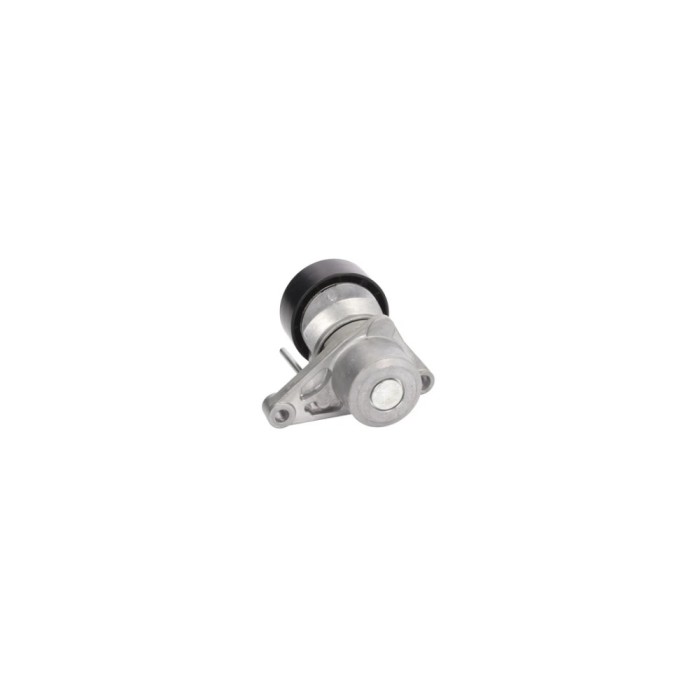 Intinzator curea PEUGEOT 207 WA WC DAYCO APV2539