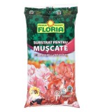 Pamant de flori / substrat, Floria, 20 l, turba si fibra de cocos