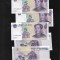 China 5 yuan 2005 unc pret pe bucata
