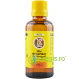 Ulei din Samburi de Struguri Presat la Rece 50ml