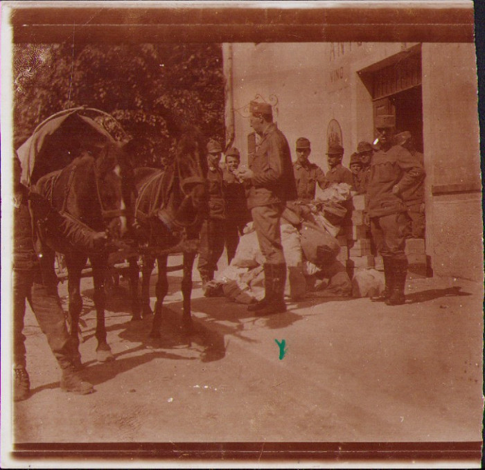 HST P1561 Poză ofițer medic militar Valeriu Lucian Bologa Primul Război