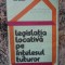 IOAN COMANESCU - LEGISLATIA LOCATIVA PE INTELESUL TUTUROR