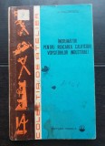 &Icirc;ndrumător pentru ridicarea calificării vopsitorilor industriali - J. Iacobescu