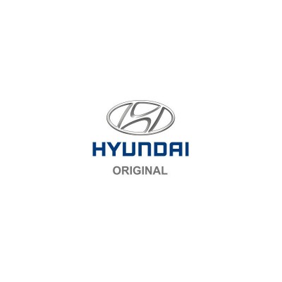 HYUNDAI 2441025001 intinzator,lant distributie foto