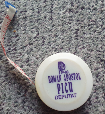 Ruleta electoriala PP-DD Picu Apostol Roman deputat foto